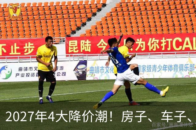 2027年4大降价潮!房子、车子、手机都便宜,这3样却越等越贵